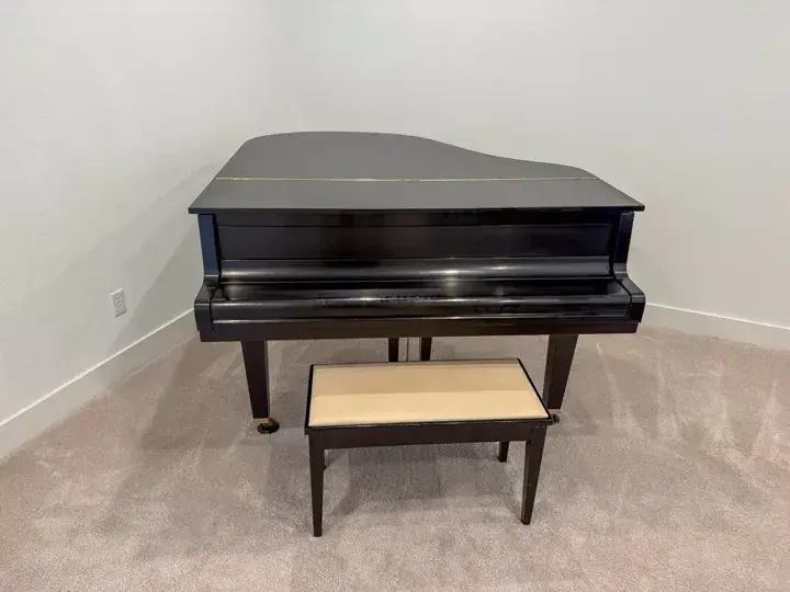Black baby grand piano and matching bench in a carpeted room
